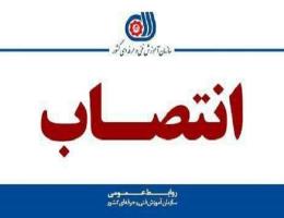 رئیس ستاد مرکزی اربعین حسینی سازمان آموزش فنی و حرفه ای کشور منصوب شد