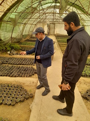 بازدید از گلخانه های منطقه ویژه اقتصادی سرخس در بحث بیابان زدایی شهرستان به همراه فرمانده بسیج سازندگی 