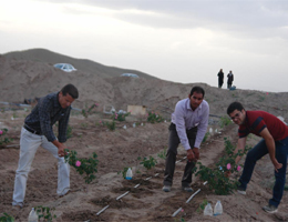 احداث اولین مزرعه کاشت و پرورش گل محمدی توسط کارآموز مرکز آموزش فنی و حرفه ای تربت حیدریه