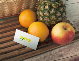 راه اندازی نخستین سامانه سفارش و خرید آنلاین میوه و سبزیجات در مشهد توسط کار آموزان مرکز مهارت های پیشرفته ارم