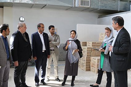 بازدید از کارگاههای آموزشی مراکز مشهد در حوزه صنعت ساختمان توسط کارشناسان موسسه سکوای آلمان 
