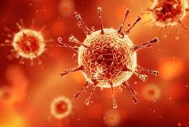 نکات مهم در پیشگیری از ویروس کرونا