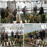 برگزاری کارگاه آموزش گیاهان آپارتمانی در گلخانه کارآموزان مرکز